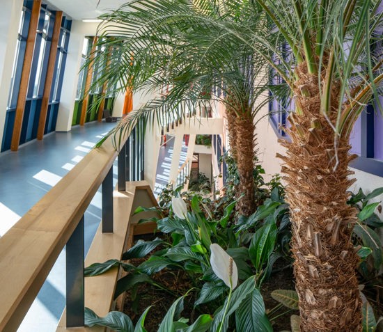 ©egbertdeboer.com 20200304-03280LR.jpg