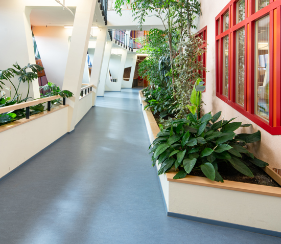 ©egbertdeboer.com 20200304-03250HR.jpg